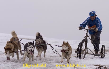 Hustopece 06 - 119.jpg